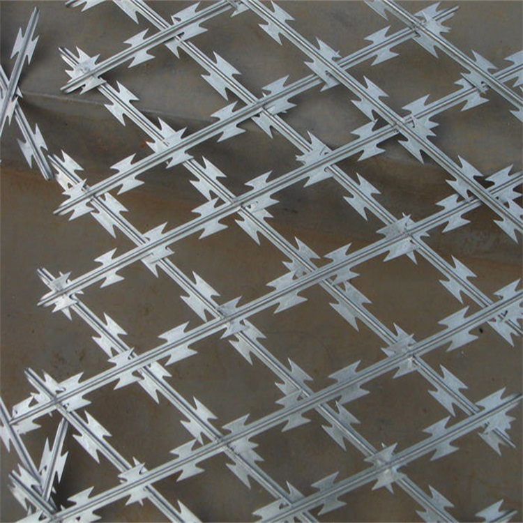 四川菱形孔刀片防護(hù)網(wǎng)