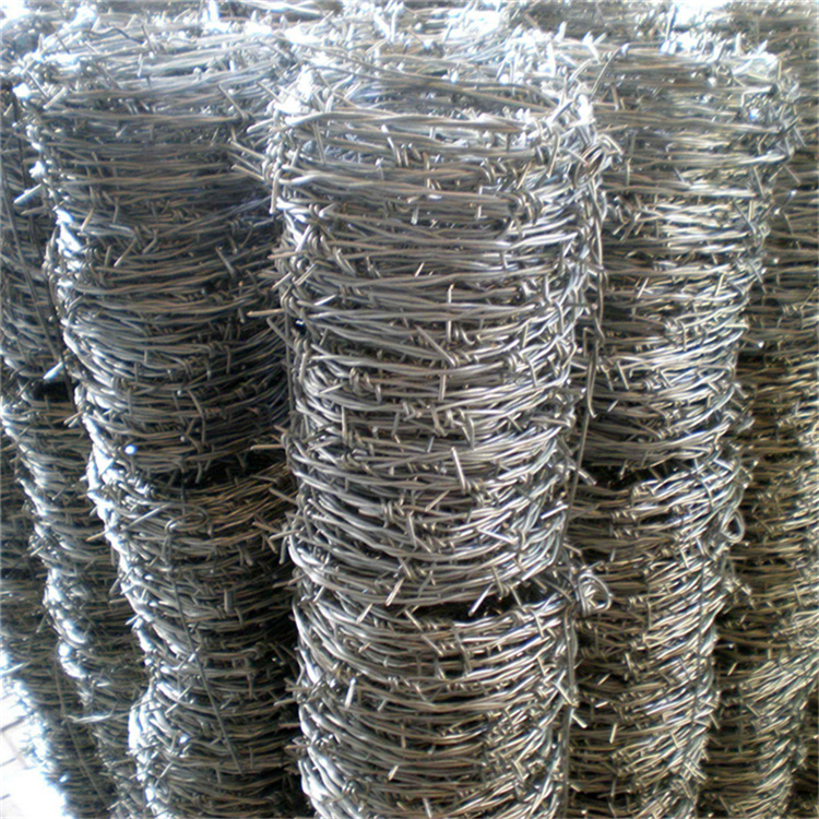 鐵蒺藜防護網(wǎng)